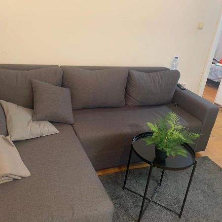 Vila Miletic Vrnjačka Banja Eksteriør billede