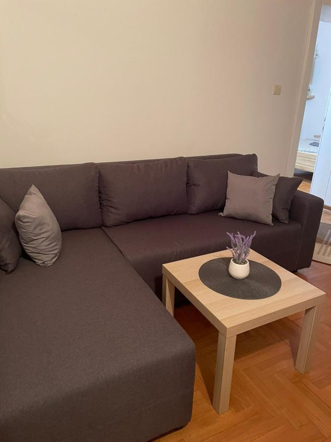 Vila Miletic Vrnjačka Banja Eksteriør billede