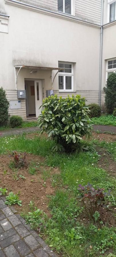 Vila Miletic Vrnjačka Banja Eksteriør billede