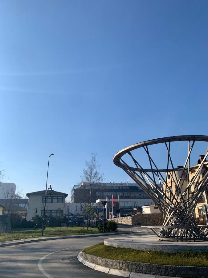 Vila Miletic Vrnjačka Banja Eksteriør billede